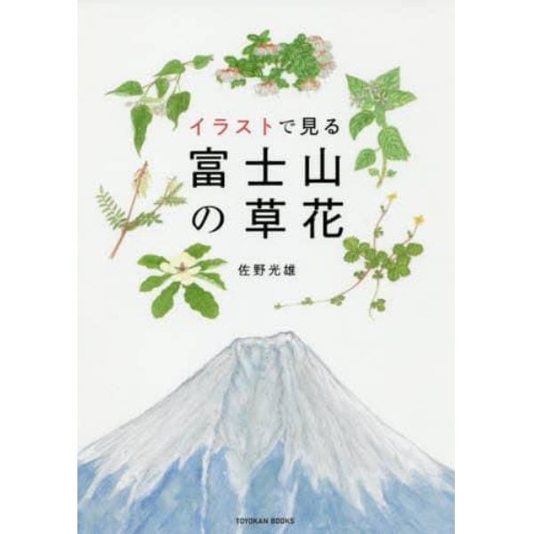 イラストで見る富士山の草花