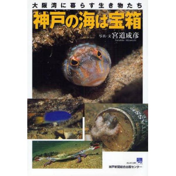神戸の海は宝箱　大阪湾に暮らす生き物たち