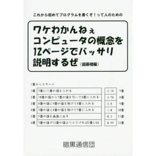 ワケわかんねぇコンピュータの概念を１２ページでバッサリ説明するぜ　これから初めてプログラムを書くぞ！って人のための　超基礎編