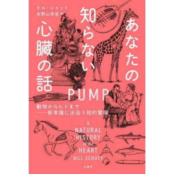 あなたの知らない心臓の話　動物からヒトまで－新常識に出会う知的冒険