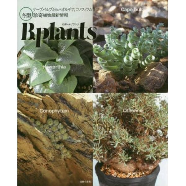ビザールプランツ　ケープバルブからハオルチア、コノフィツムまで冬型珍奇植物最新情報
