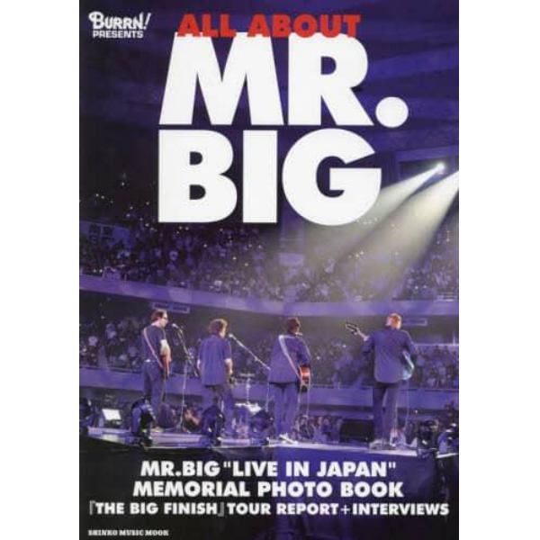 ＡＬＬ　ＡＢＯＵＴ　ＭＲ．ＢＩＧ