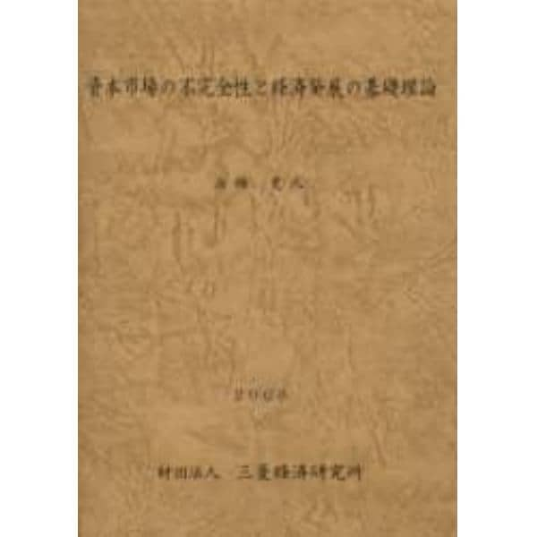 資本市場の不完全性と経済発展の基礎理論