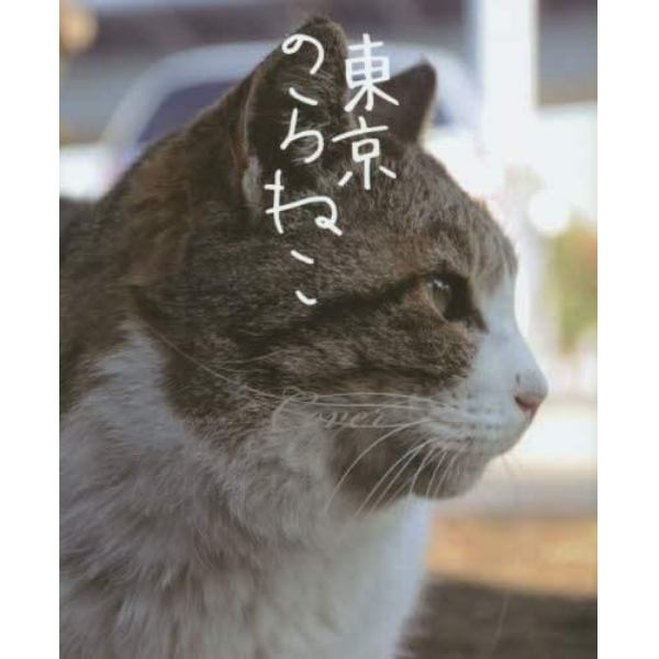 東京のらねこ