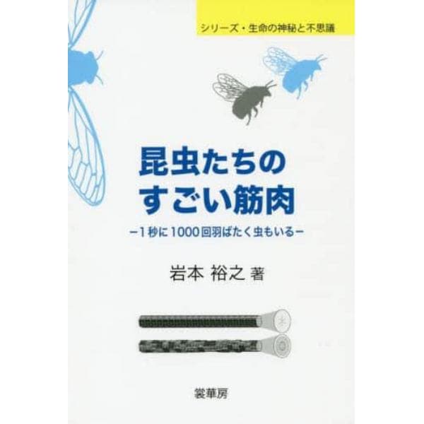 昆虫たちのすごい筋肉　１秒に１０００回羽ばたく虫もいる