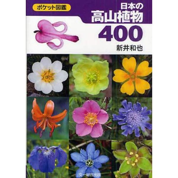 日本の高山植物４００