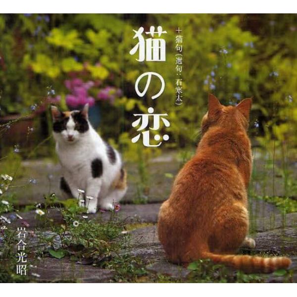 猫の恋　＋猫句