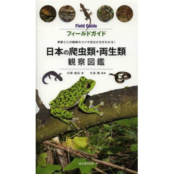 フィールドガイド日本の爬虫類・両生類観察図鑑　季節ごとの観察のコツや見分け方がわかる！