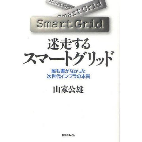 迷走するスマートグリッド　誰も書かなかった次世代インフラの本質