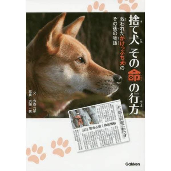 捨て犬その命の行方　救われたがけっぷち犬のその後の物語