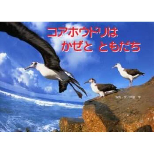 コアホウドリはかぜとともだち