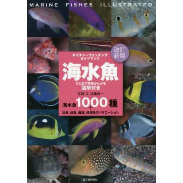 海水魚　ひと目で特徴がわかる図解付き　海水魚１０００種＋幼魚、成魚、雌雄、婚姻色のバリエーション