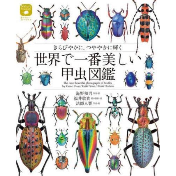 世界で一番美しい甲虫図鑑　きらびやかに、つややかに輝く
