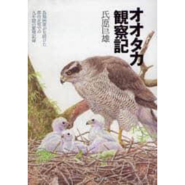 オオタカ観察記　鳥類画家が見続けた都市近郊での九年間の繁殖記録