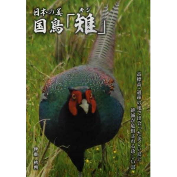日本の美　国鳥「雉」　高標高・過疎の地で出会った美しい鳥と絶滅が危惧される珍しい鳥