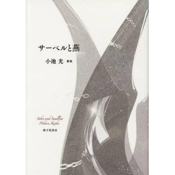 サーベルと燕　小池光歌集