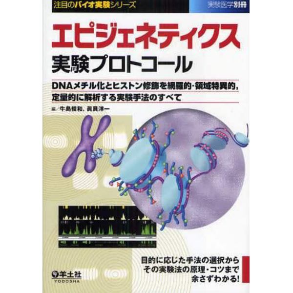 エピジェネティクス実験プロトコール　ＤＮＡメチル化とヒストン修飾を網羅的・領域特異的，定量的に解析する実験手法のすべて