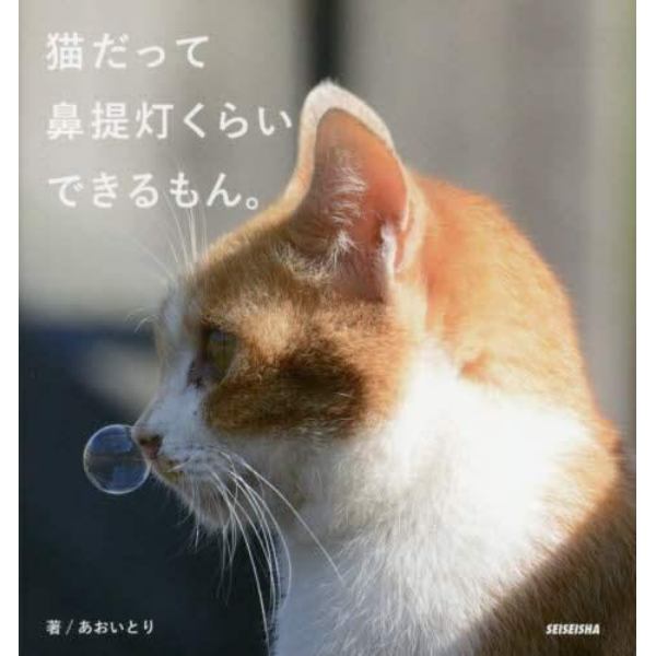 猫だって鼻提灯くらいできるもん。