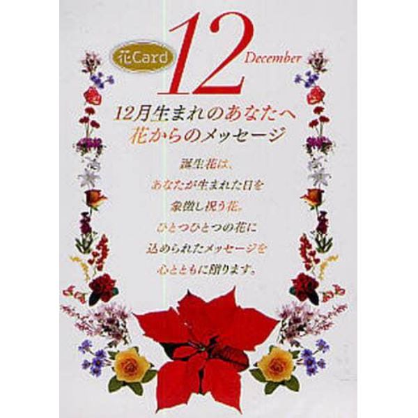 『ミウラ折り』誕生花カード　１２月