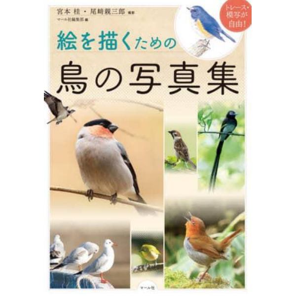 絵を描くための鳥の写真集　トレース・模写が自由！