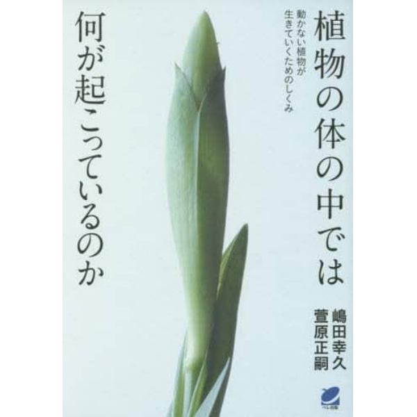 植物の体の中では何が起こっているのか　動かない植物が生きていくためのしくみ