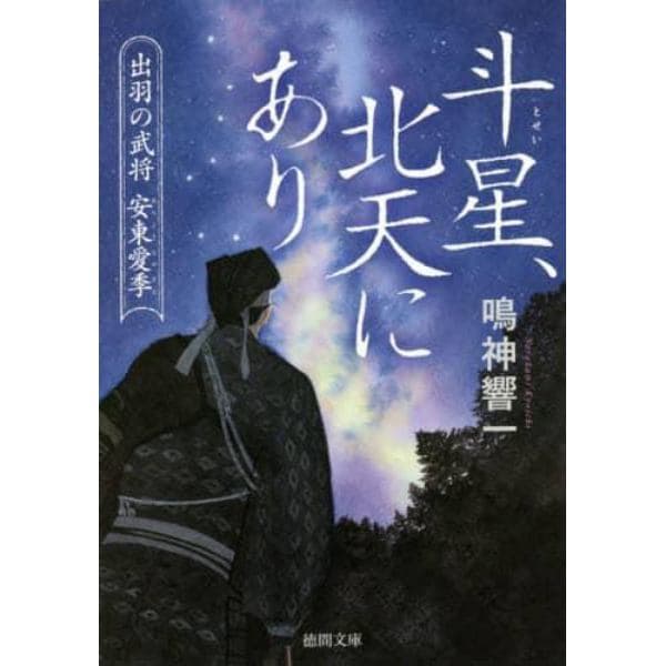 斗星、北天にあり　出羽の武将安東愛季
