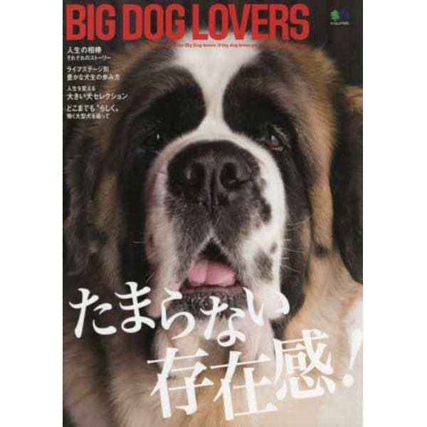 ＢＩＧ　ＤＯＧ　ＬＯＶＥＲＳ　たまらない存在感！