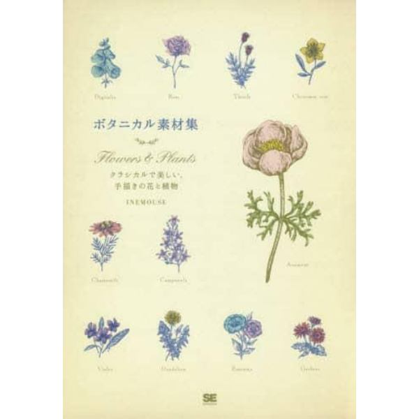 ボタニカル素材集　Ｆｌｏｗｅｒｓ　＆　Ｐｌａｎｔｓ　クラシカルで美しい、手描きの花と植物