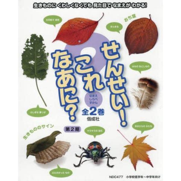 せんせい！これなあに？　第２期　２巻セット