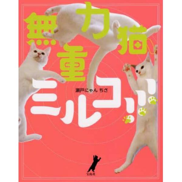 無重力猫、ミルコ！！！