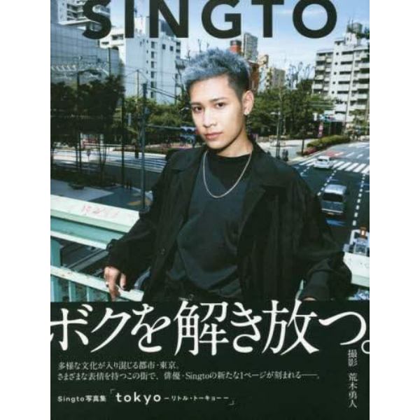 Ｓｉｎｇｔｏ写真集　ｔｏｋｙｏ－リトル・