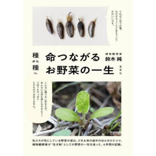 種から種へ命つながるお野菜の一生