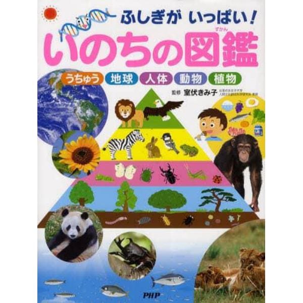 いのちの図鑑　ふしぎがいっぱい！　うちゅう　地球　人体　動物　植物