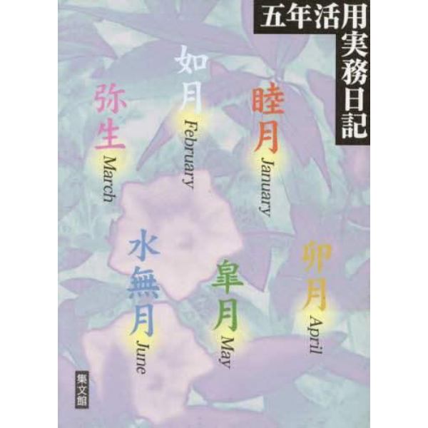 ２９．大型五年活用実務日記