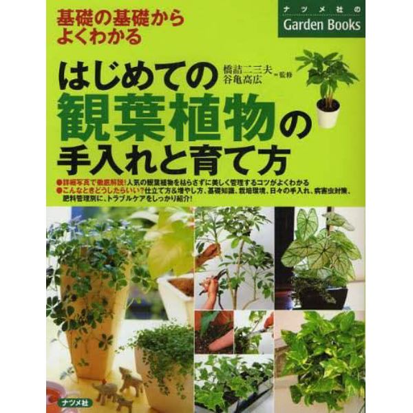 はじめての観葉植物の手入れと育て方　基礎の基礎からよくわかる