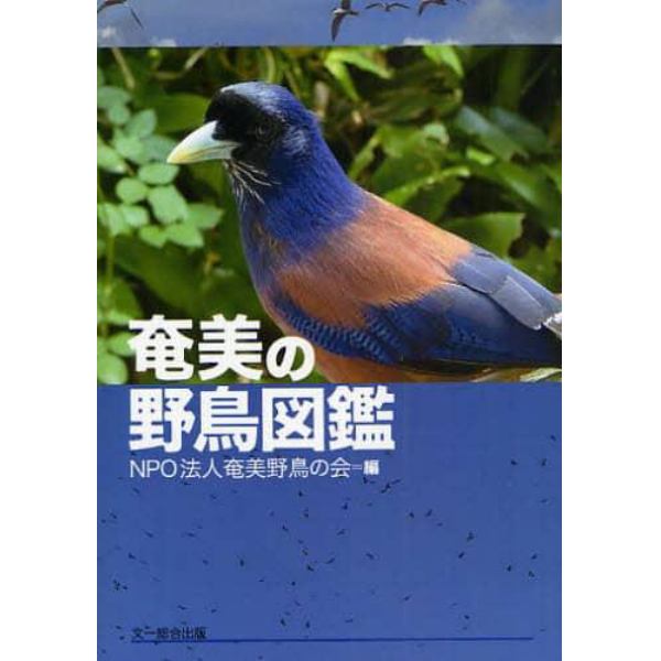 奄美の野鳥図鑑