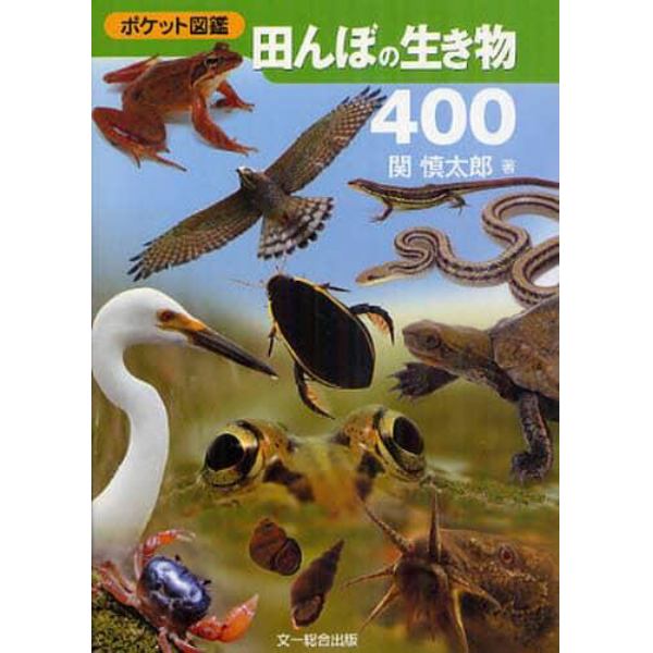 田んぼの生き物４００