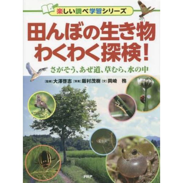 田んぼの生き物わくわく探検！　さがそう、あぜ道、草むら、水の中