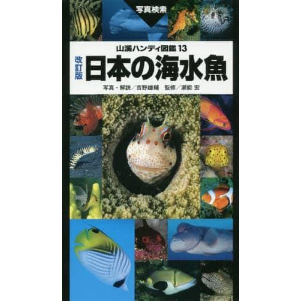 日本の海水魚　写真検索
