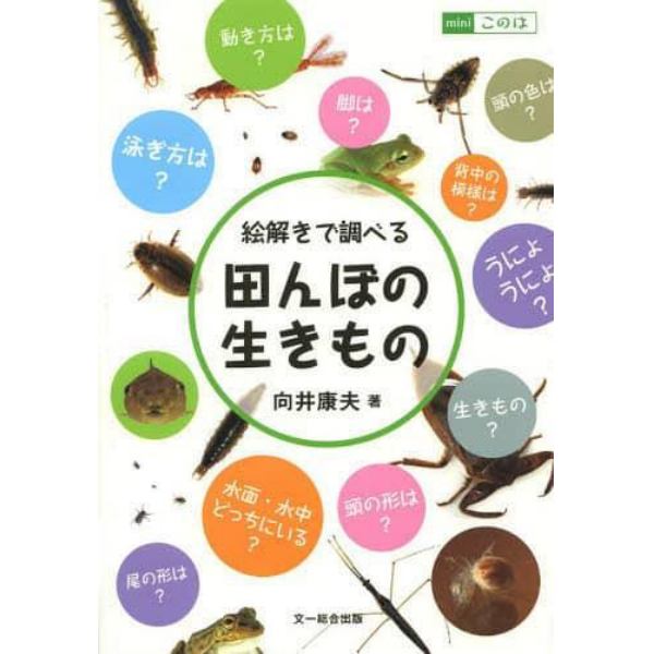 絵解きで調べる田んぼの生きもの