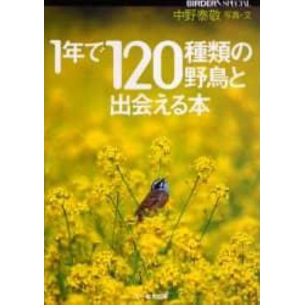 １年で１２０種類の野鳥と出会える本