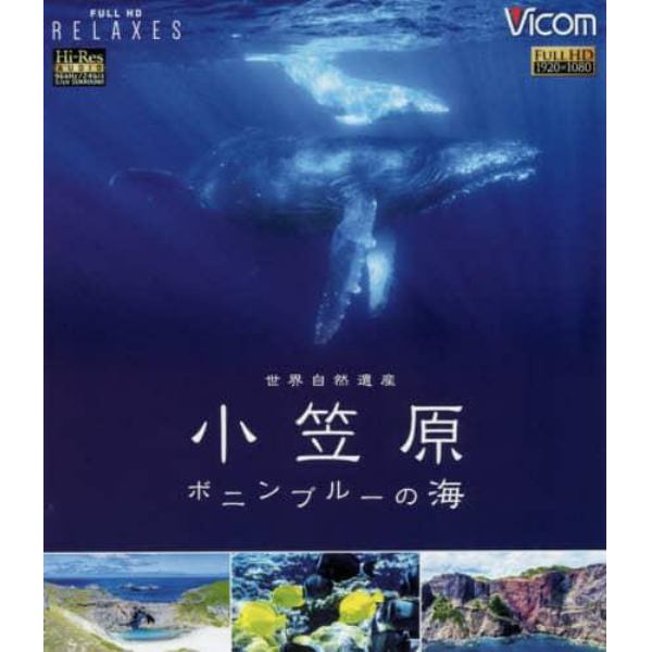 ＢＤ　世界自然遺産小笠原ボニンブルーの海