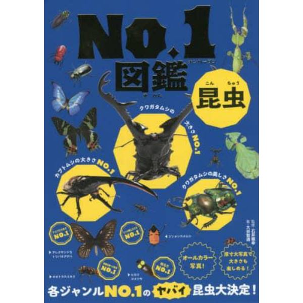 昆虫Ｎｏ．１図鑑