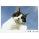 旅猫アルバム　「旅猫リポート」公式写真集