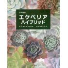 多肉植物エケベリアハイブリッド