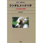 但馬・楽音寺のウツギヒメハナバチ　その生