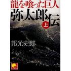 竜を喰った巨人　弥太郎伝　上