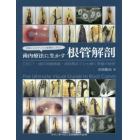 写真とエビデンスで歯種別に学ぶ！歯内療法に生かす根管解剖　ＣＢＣＴ・歯科用顕微鏡・透明標本でひも解く根管の秘密