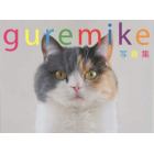 ｇｕｒｅｍｉｋｅ写真集