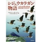 シジュウカラガン物語　しあわせを運ぶ渡り鳥、日本の空にふたたび！